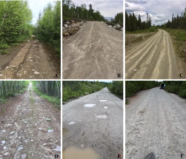 Figure 2.3 Formes de dégradation observées en ordre d’importance ; A : Ornières ; B :  Érosion (par l’eau) ; C : roulières ; D : émergence de la sous-fondation ;  E :  nids-de-poule ; F : ondulations