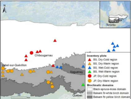 Figure 1. Location of permanent inventory plots distributed in cutblocks planted with black spruce (BS, filled triangles) and jack pine (JP, filled circles) in the balsam fir (grey areas) and spruce–moss (white area) bioclimatic domains of boreal Quebec, C