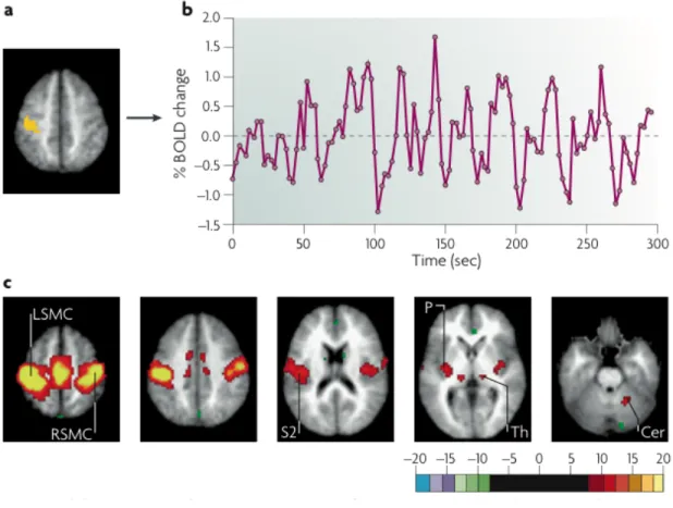 Figure 1.6: Generation of resting-state correlation maps. a) Seed region in the left so- so-matomotor cortex (LSMC) is shown in yellow