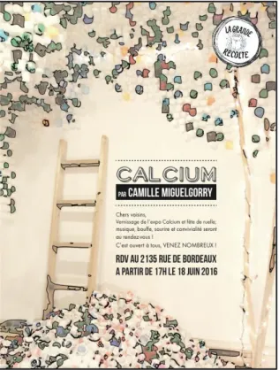 Figure 3 -Affiche Calcium réalisée par Caroline Gaoua 