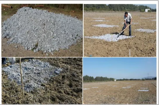 Figure 3.3 Illustration représentant l’épandage des boues de désencrage au champ dans  un sol calcaire de la parcelle expérimentale de l’INAT 