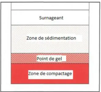 Figure 13. Emplacement du point de gel dans une suspension de boue floculée 