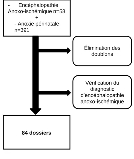 Figure 3. Diagramme de flux 84 dossiers  Élimination des doublons Vérification du diagnostic  d’encéphalopathie anoxo-ischémique Encéphalopathie Anoxo-ischémique n=58 + Anoxie périnatale n=391 