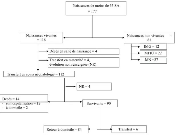 Figure 3 : Diagramme de flux 