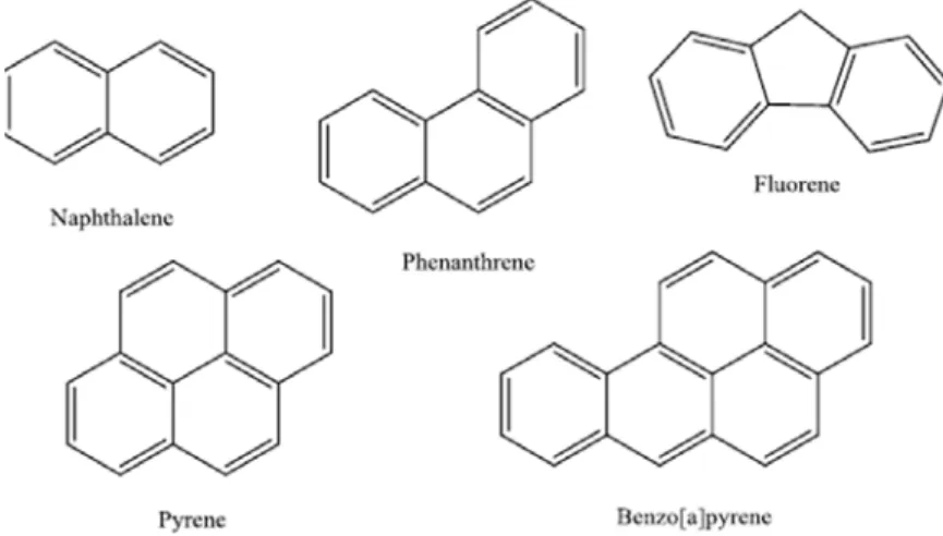 Figure 1.5  Structure  des  principaux  hydrocarbures  aromatiques  polycycliques  présents dans la créosote (Melber et al., 2004)