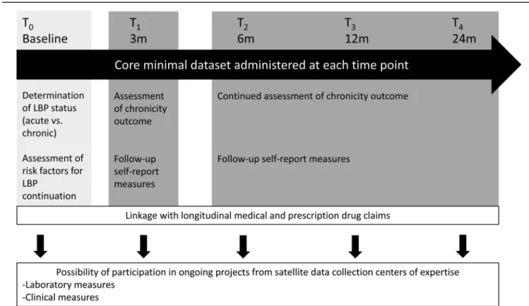 Figure 2. The Quebec Low Back Pain Study methodology. T0 to T4 represent the different data collection time point for all patients enrolled
