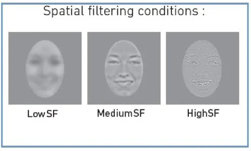 Figure 2: Examples of filtered and normalized stimuli. 