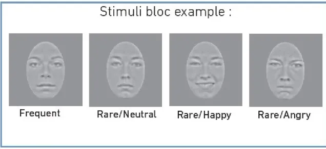 Figure 4: Example of stimuli constituting a single experimental block.  