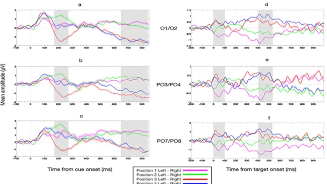 Figure 2. Lateralized ERP waves for electrode pairs PO7/PO8, PO3/PO4, and O1/O2. (a-  c)  Grand  average  lateralized  (Left  electrode  minus  Right  electrode)  event-related  potential  (ERP) difference waveforms, time-locked to the onset of the cue, fo