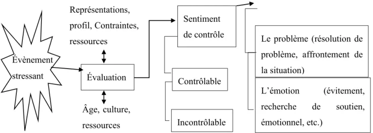 Figure 1 : Schématisation du processus d’adaptation d’un individu. 