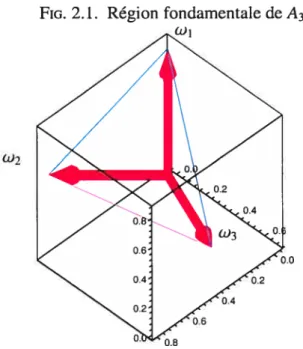 FIG. 2.1. Région fondamentale de A3