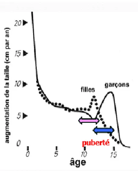 Figure 2 : Augmentation de la taille (en cm/an) chez les garçons et les filles de 0 à 15  ans