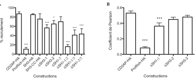 Figure 5. Quantification du recrutement des mutants de CD2AP par les complexes de réplication du HCV