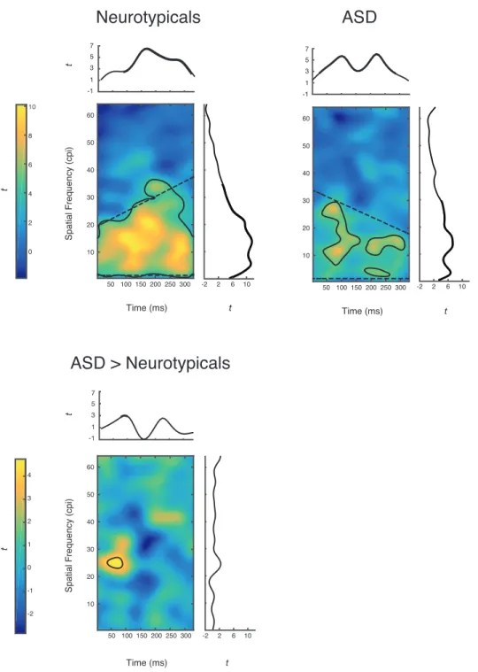 Figure 2. Upper panel: one-sample t maps and vectors illustrating how SFs, time frames and  SF-time pixels correlate with accurate object recognition, for the neurotypical and ASD  groups