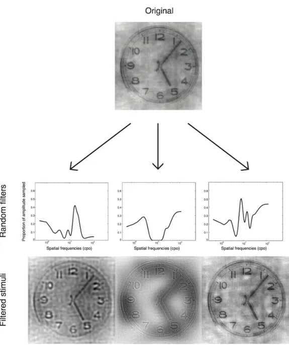 Figure 2. Examples of stimuli presented in the experiment. These are generated by applying  random filters to a base image