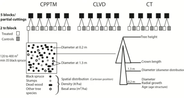 Figure 1.2. Schematic representation of experimental design and plot measurements. 