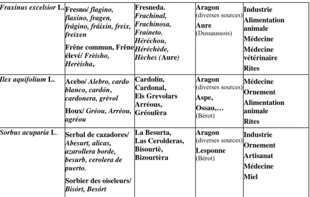 Tableau 2. Exemples de synphyto-toponymes issus des noms populaires des arbustes pyrénéens 