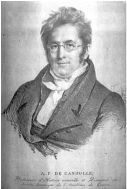 Figure 2. Augustin Pyrame De Candolle (1778-1841)  est le premier à inscrire le Pin à crochets   dans la Flore française de Lamarck :  Pinus uncinata Ramond, ex Lamarck &amp; D.C