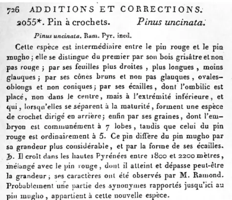 Figure 3. La diagnose du Pin à crochets dans la flore de Lamarck et De Candolle, en 1805  