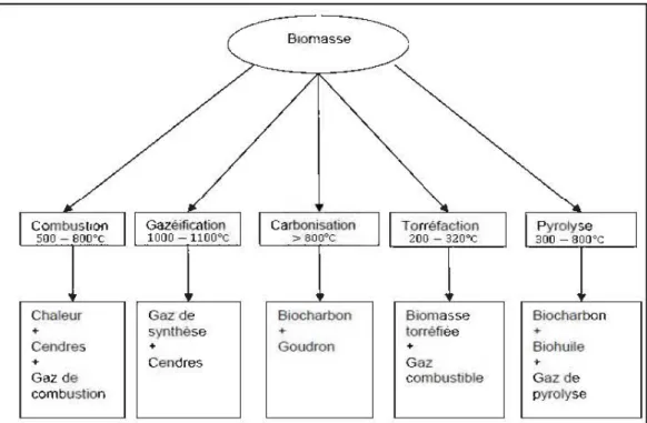 Figure  2.6: Les différents procédés de  traitements  thermiques de la biomasse en  fonction  de leurs produits générés (Solomalnikova et al., 2011) 