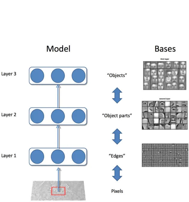Figure 1.2 – Deep learning example: When trained on images, the first layer of a deep learning system operates on the pixels and usually extracts some sort of edges from the image
