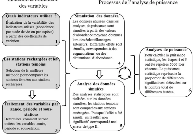 Figure  5 : Schématisation de la méthodologie employée pour réaliser les analyses de  puissance