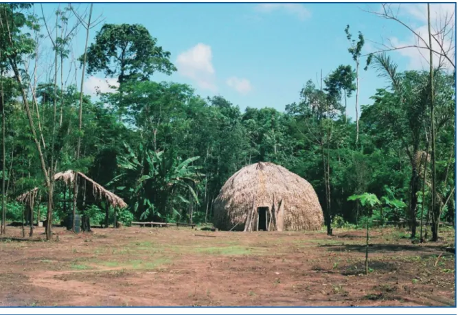 Figure 2 : Traditional Suruí house