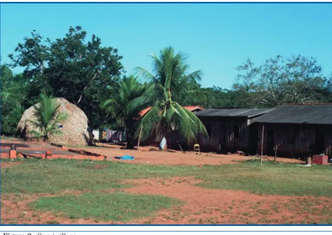 Figure 3 : Suruí village