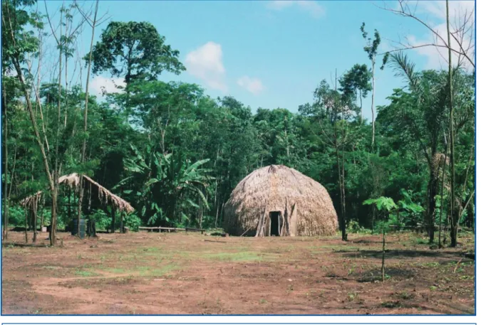 Figure 2 : Habitation suruí traditionnelle