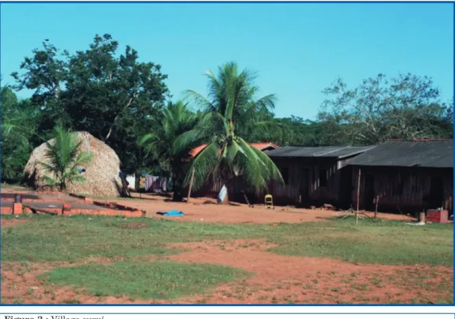 Figure 3 : Village suruí