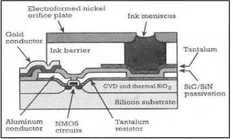 Figure  1.5: Buse d'imprimante à jet d'encre  Les principaux matériaux composant un MEMS sont: 