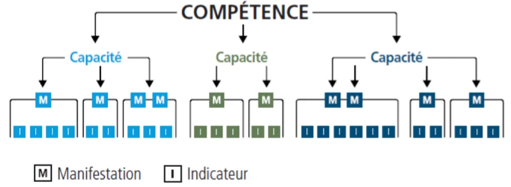 Figure 2 – Organisation logique des termes compétences, capacités, manifestations et  indicateurs (Boucher &amp; Ste-Marie, 2013) 