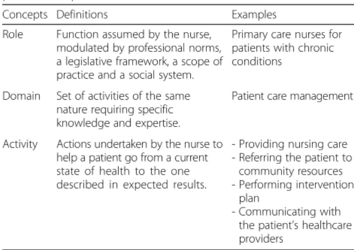 Fig. 2 Structure for the description of professional practice in nursing (adapted from Bent et al.) [13]
