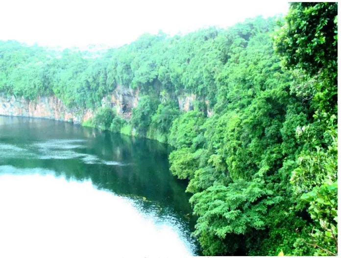 Figure 5 : Vue du cratère du lac Lalolalo à l'ouest de l'île   (Worliczek 2009) 