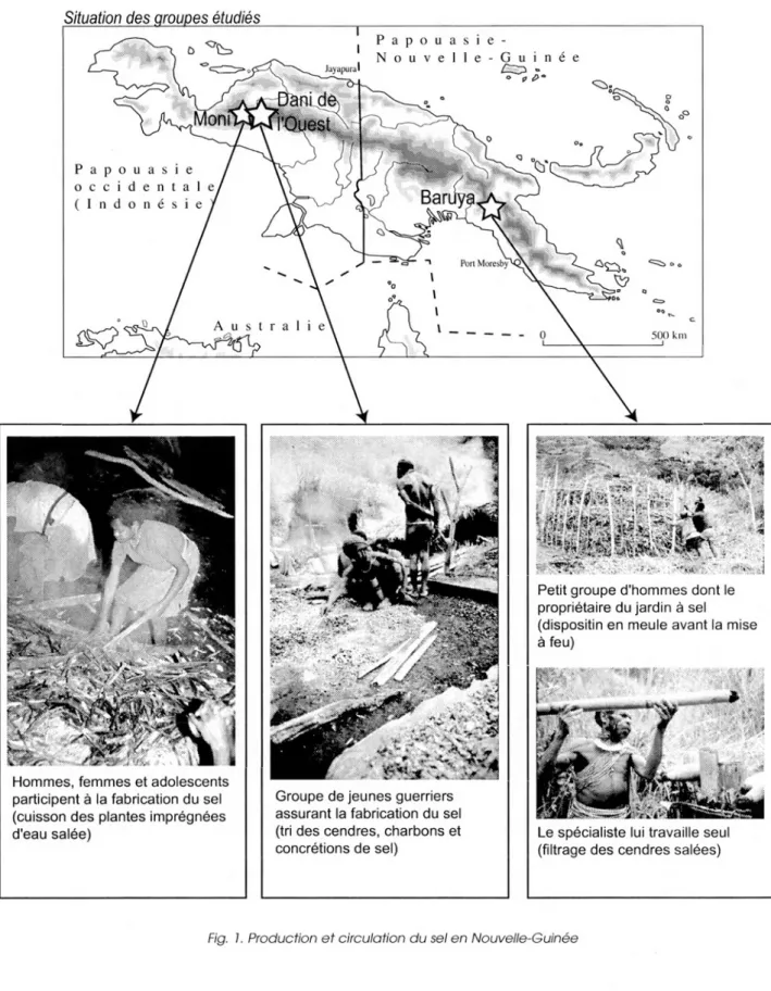 Fig.  1.  Production e t circulation du  sel en Nouvelle-Guinée