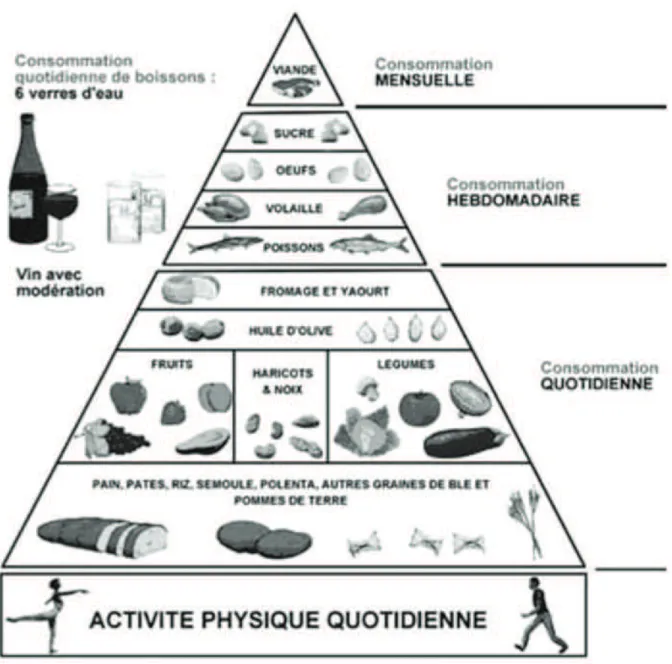 Figure 2 : La pyramide de l’alimentation méditerranéenne traditionnelle  