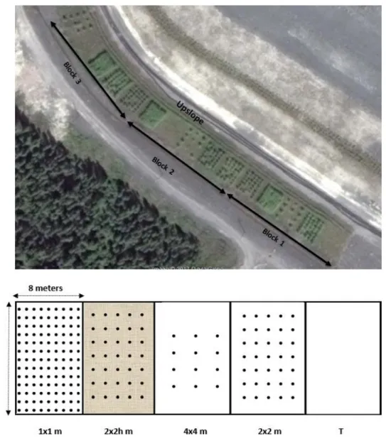 Figure 1. Plantation and experimental design Click here to access/download;Figure;Figure 1_vf.docx