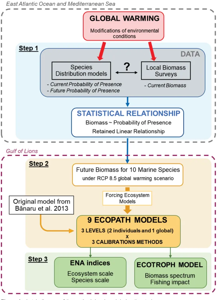 Figure 1: sketch diagram of the method developed during the study 