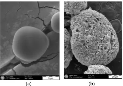 Figure 2. Microparticles before (a) and after (b) breaking treatment.