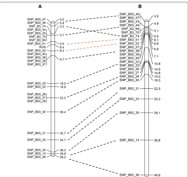 Fig. 3 Genetic mapping of Rcr6: (a). genotyping of SNP markers using KASP. The R parent (homozygous resistant) segregated to the lower right quadrant, the S parent (homozygous recessive) and S individuals (homozygous recessive) from BC 1 population formed 