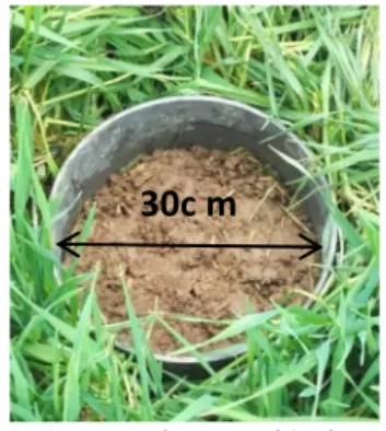 Figure 4: Photographie du  dispositif Beerkan (Y. 