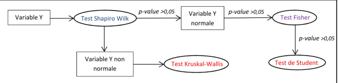 Figure 5: Arbre de décision permettant de choisir le test de comparaison de moyennes approprié à une variable Y