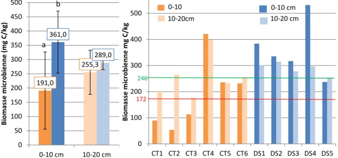 Figure 6: Distribution de la biomasse microbienne par modalité (à gauche) et par parcelles (à droite) en fonction de la  profondeur