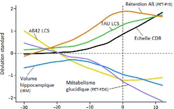 Figure  7 :  Evolution  cliniques,  cognitives,  structurelles,  métaboliques  et  biologiques  au  cours  des  années précédant l’apparition des premiers signes cliniques (d’après Bateman et al., 2012)