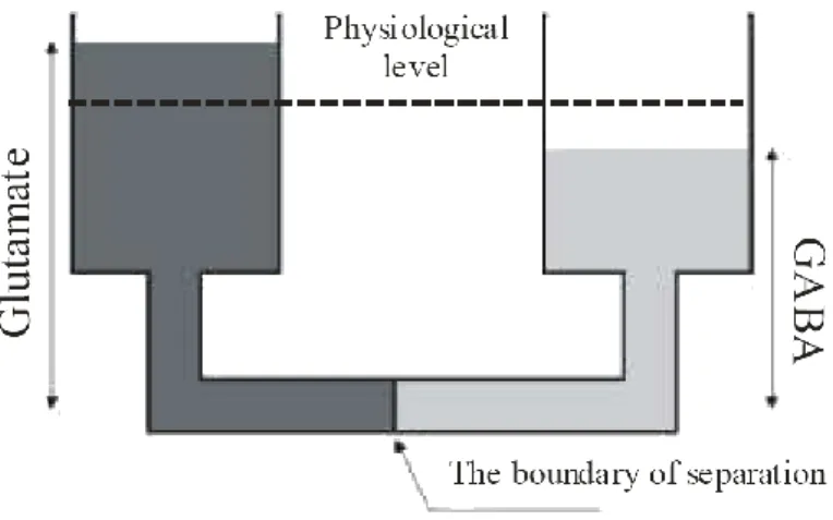 Figure 5 : Représentation schématique du déséquilibre glutamate/GABA dans la  dépression sous la forme de vases communicants