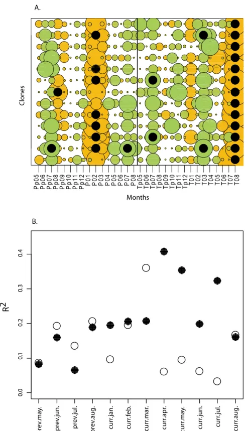 Fig. 3. Inﬂuence of aspen clone identity on the growth response to monthly weather. (A) Results of correlation analysis between monthly climate variables and clone-speciﬁc master chronologies