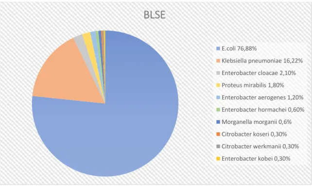 Figure 10 : Répartition des espèces de BLSE