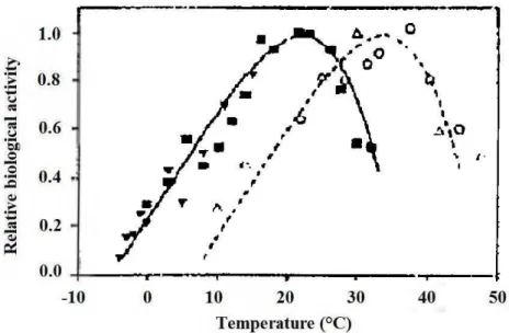 Figure 2-4 : Taux d'oxydation biologiques relatifs de la pyrite provenant de climats tempérés  (symboles vides) et arctiques (symboles pleins) en fonction de la température (Tiré de NEDEM, 