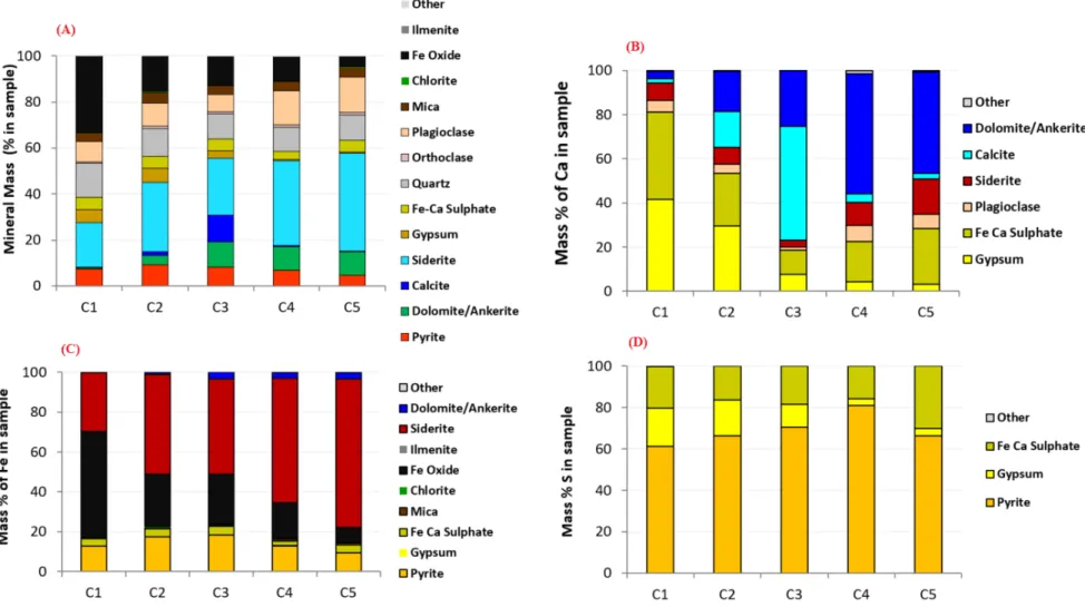 Figure 6. (A) Modal mineralogy for the dismantled samples; (B) Ca deportment; (C) Fe deportment; and (D) S deportment within the dismantled samples