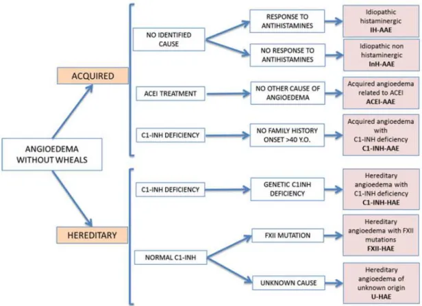 Fig 1: Classification des angioedèmes non urticariens d’après Cicardi and al, 2014 [9] 